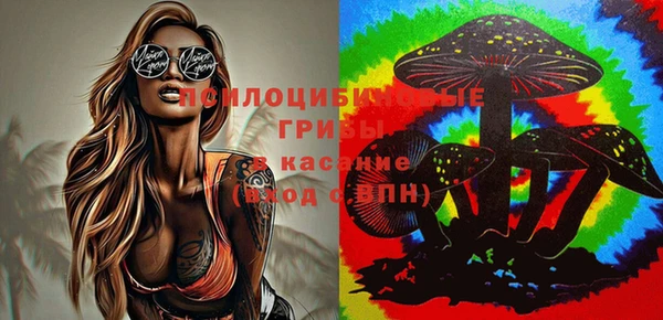 apvp Абдулино